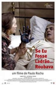 Se Eu Fosse Ladrão… Roubava